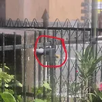 Close To Golf Executive With Balcony Apartment Rapallo